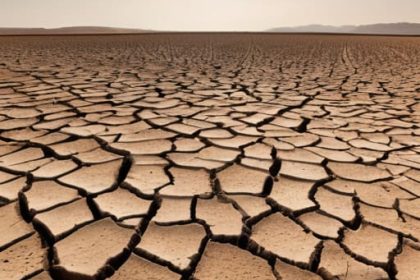 How insurance schemes work for disasters: drought.